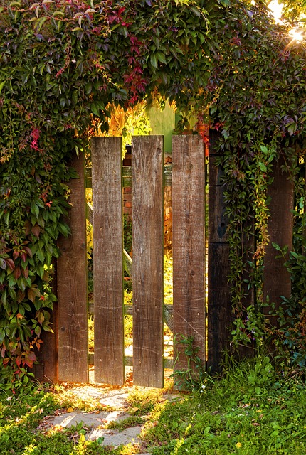 autumn-4515973_640